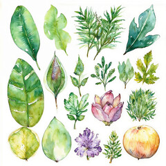 Watercolor Panel Illustration