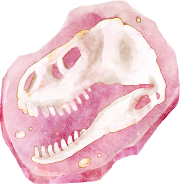 Fossil of tyrannosaurus rex skull in rock . Watercolor painting style .