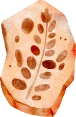 Fossil of prehistoric plant in rock . Watercolor painting style .