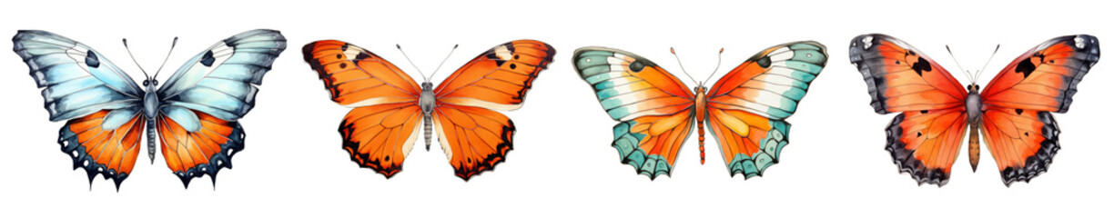 Watercolor set butterfly clipart isolated on transparent background	