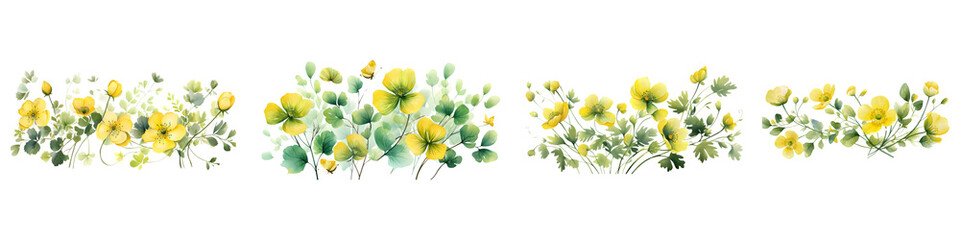 Buttercup branches with green leaves watercolor illustration. Flat vector illustration isolated on white background