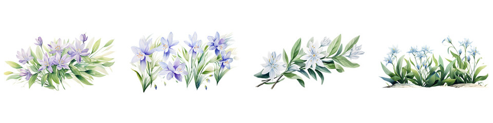 Chionodoxa branches with green leaves watercolor illustration. Flat vector illustration isolated on white background