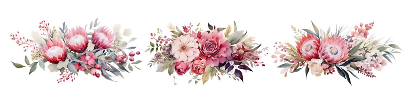 Wedding floral composition, watercolor Australian native flowers arrangement isolated on white
