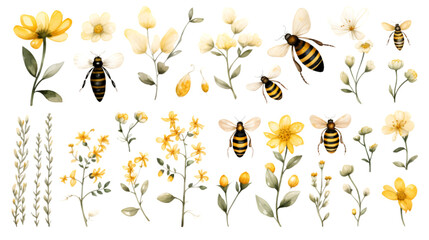 watercolor bee clipart for graphic resources - obrazy, fototapety, plakaty