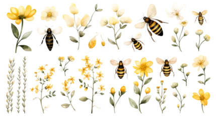 Foto op Plexiglas watercolor bee clipart for graphic resources © master graphics 
