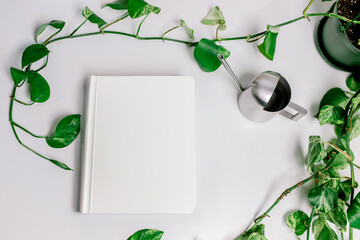 Blank white book with ivy and modern watering can