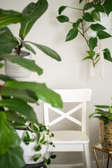 White chair in a bright room surrounded by house plants