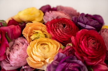 Bright, colorful ranunculus blooms arranged together