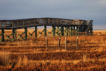 A birdwatching walkway in Maryland's Blackwater Wildlife Refuge.