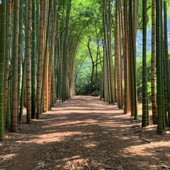 In the peaceful ambiance, tall bamboo groves whisper softly, embodying a silent strength that resonates with tranquility.