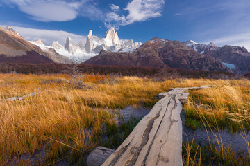 Golden field and Fitz Roy Mountain in autumn, Patagonia, Argentina.