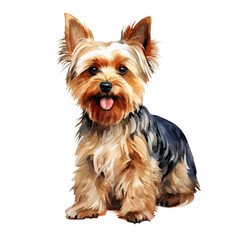A sitting Yorkshire Terrier dog watercolor clipart illustration on transparent background