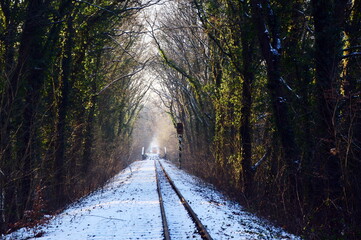 Narrow Gauge Railway in Winter in the Town Walsrode, Lower Saxony