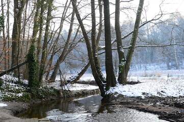 Landscape in Winter at the Stream Steinförthsbach in the Town Walsrode, Lower Saxony