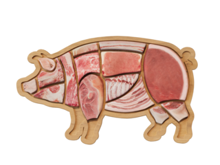 Pork Meat Cuts Diagram. Cut of meat set. Poster Butcher diagram. 