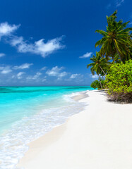 beautiful white sandy beach and palm trees, maldives