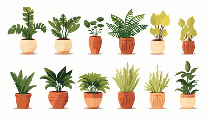 Fototapeta na wymiar Home Plants Potted Flat vector isolated on white background