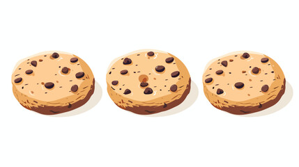 cookies  flat vector isolated on white background 