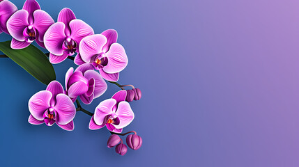Fototapeta na wymiar Pastel orchid bouquet, floral border on light background