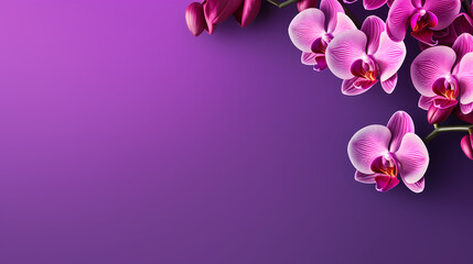 Close-up of orchid with ample copy space for text