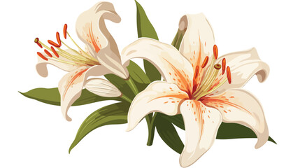 Obraz na płótnie Canvas Lokii34 vintage lily flower Flat vector isolated on white background