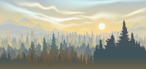 Vector panoramic landscape of forest in sunset with silhouettes of pine trees.