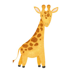 Obraz premium Cute baby giraffe. Isolated hand drawn watercolor illustration of african animal. Kid's Safari. For design baby shower, cards, posters, kid's goods and rooms