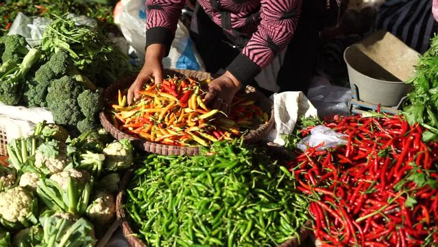 Woman farmer hands selling various vegetables at traditional market after harvest season.