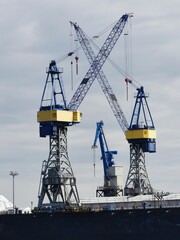 Fototapeta na wymiar Cranes in harbor