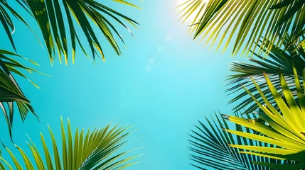 Wandcirkels tuinposter Minimalist Palm Trees and Blue Sky Illustration © Songyote