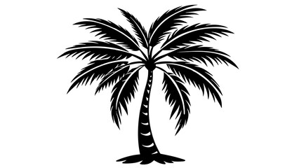 Captivating Palm Tree Silhouette Nature's Timeless Beauty