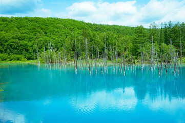 青い池