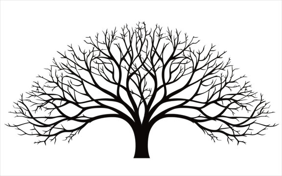 Vector hand drawn black and white tree material