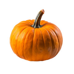 Pumpkin isolated on transparent background.
