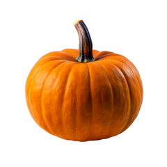 Pumpkin isolated on transparent background.