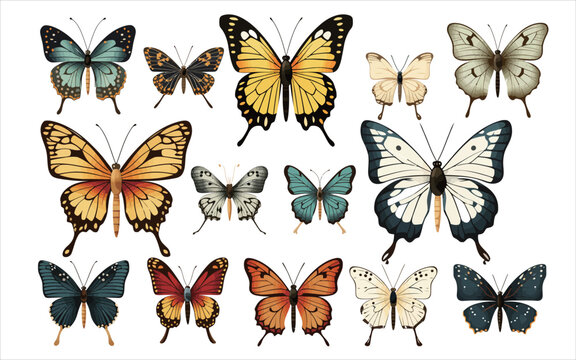 Vector colorful butterfly art material