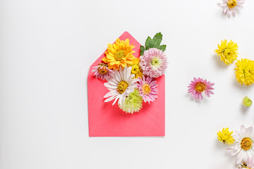 Beautiful flower composition from different field flowers. Flower card.
