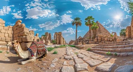 Foto auf Acrylglas A camel is resting on the ground near ancient Egyptian pyramids, with a blue sky and white clouds, green palm trees, and stone steps leading to temples in the landscape of Egypt © Kien