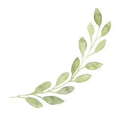Spring tender greenery, twigs with leaves and buds, watercolor botany, hand drawn elements on a transparent background.