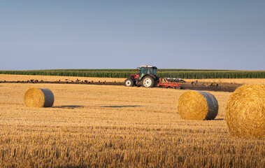 Fototapeta premium Tractor plowing