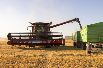 Combine transferring wheat into a trailer after harvest - 765491657