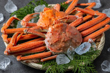 新鮮なズワイガニ