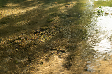 closeup of clean water stream in summer