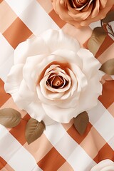 The gingham pattern on a rose and white background