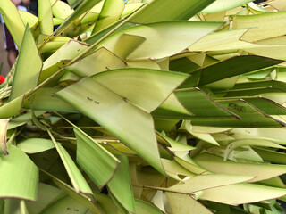 Bundles of ornate coconut palm leaves are displayed on a sidewalk stall on the eve of Palm Sunday. Close-up.