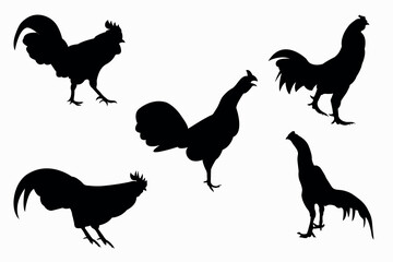 Rooster and cock pose silhouettes