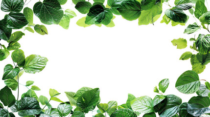 Green leaves isolated on white, AI Generative.