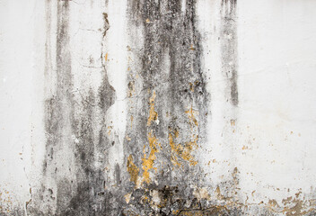 hi res grunge cement texture and old background