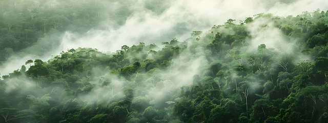 Poster Panoramic view of misty rainforest trees with fog and rays, showcasing the natural beauty of a lush tropical rainforest canopy. Drone view with copy space. © jex