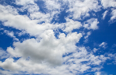 Naklejka na ściany i meble White cloud and blue sky background